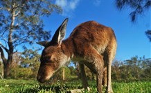 Mount Seaview Resort - Holiday Adelaide 4