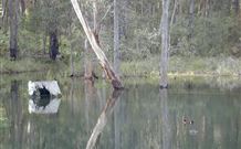 Kookaburra Cottage Pooncarie - Holiday Adelaide 6