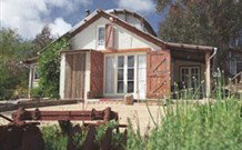 Peregrines At Table Top - Holiday Adelaide 7