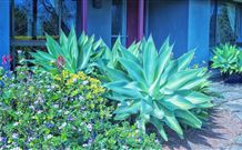 Retreat Homestead - Holiday Adelaide 0
