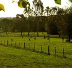Stone Cottage Mittagong - Holiday Adelaide
