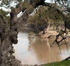 Valley View Cottage Hunter Valley - Holiday Adelaide