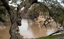 Valley View Cottage Hunter Valley - Holiday Adelaide 0