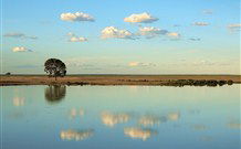 Valley View Cottage Hunter Valley - Holiday Adelaide 4