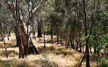 Wagon Wheel Motel And Units - Holiday Adelaide 6