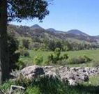 Woolshed Hill Estate - Holiday Adelaide