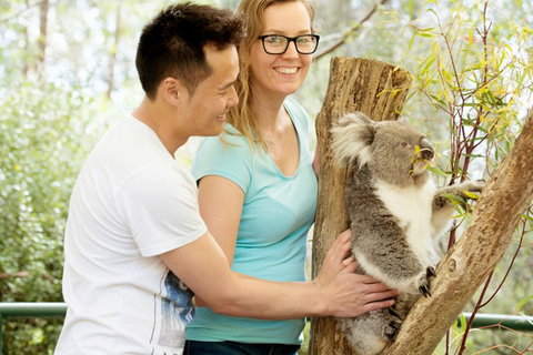 Mt Lofty YHA - Holiday Adelaide 6