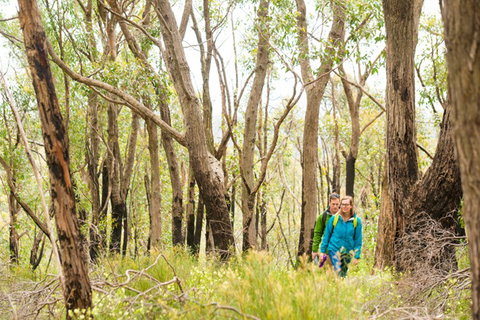 Mt Lofty YHA - Holiday Adelaide 8