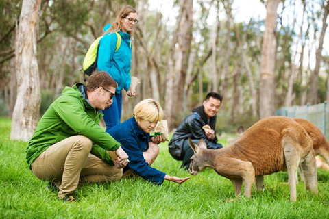 Mt Lofty YHA - Holiday Adelaide 7