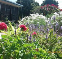 Eastwood Farm - Holiday Adelaide