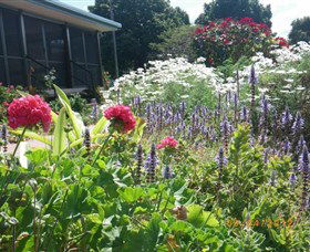 Eastwood Farm - Holiday Adelaide 0