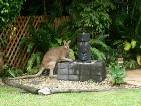 Bluewater Bed And Breakfast Cairns - Holiday Adelaide 3