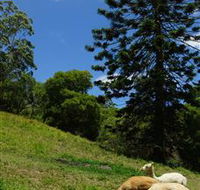 Wattle Gully Retreat - Holiday Adelaide