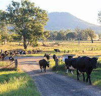 Tommerups Dairy Farmstay - Holiday Adelaide