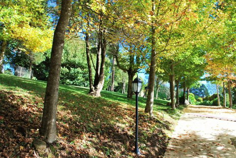 Huntington Cottage - Holiday Adelaide 7