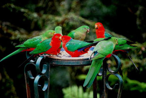 Huntington Cottage - Holiday Adelaide 8