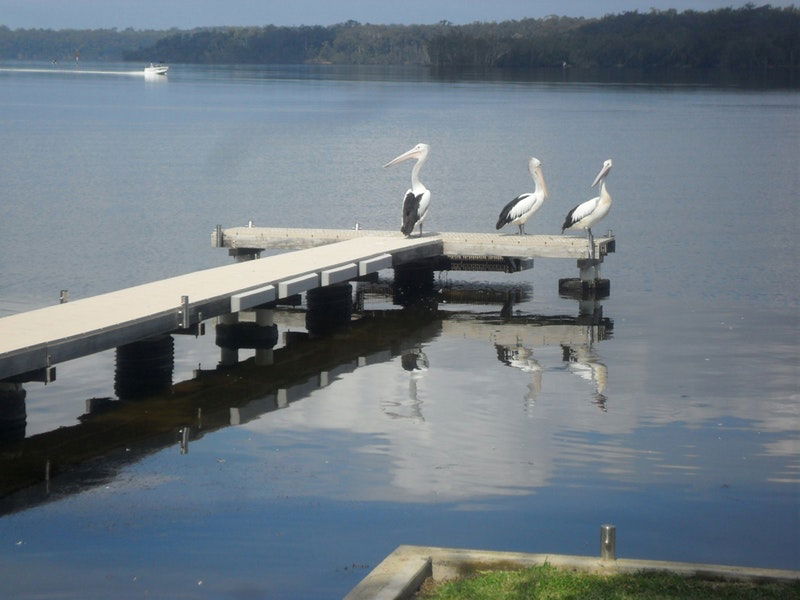 Basin View NSW Holiday Adelaide