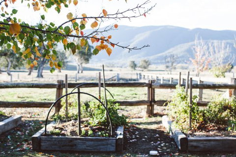 Alpine Edge Accommodation - Holiday Adelaide 5