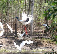 Rakhi Retreat - Holiday Adelaide