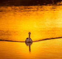 River Shack Rentals - Living the Dream - Holiday Adelaide