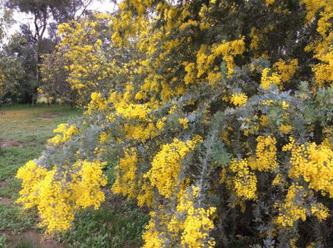 Balcraggon Accommodation - Holiday Adelaide 8