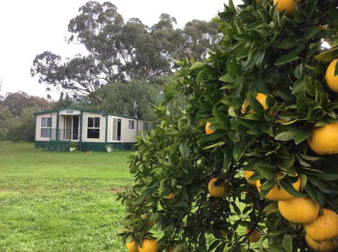 Balcraggon Accommodation - Holiday Adelaide 9
