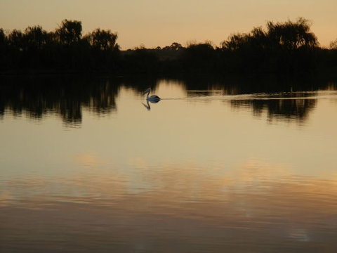 Washpool Retreat - Holiday Adelaide 7