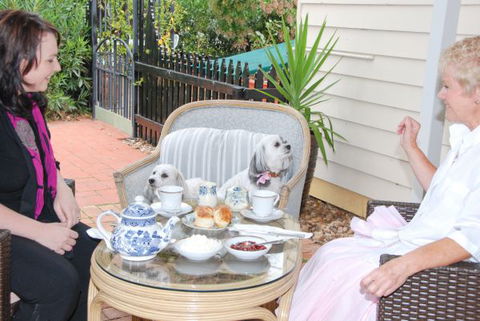 Must Love Dogs B&B And Self-Contained Cottage - Holiday Adelaide 2