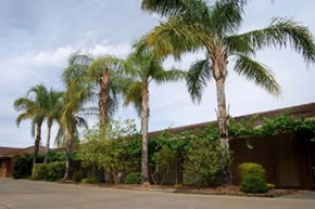 Darling Junction Motel - Holiday Adelaide 2