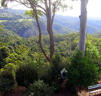 Mt Tamborine Motel - Holiday Adelaide