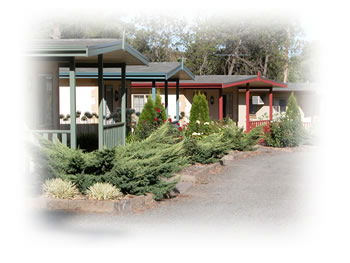 Kapunda Tourist Park - Holiday Adelaide 1
