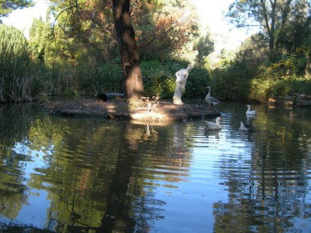 Lyndoch Hill Retreat - Holiday Adelaide 2