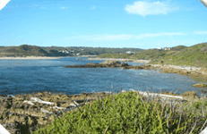 Arthur River Cabin Park - Holiday Adelaide 5