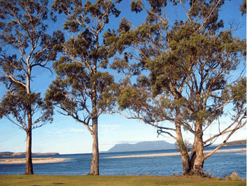 Island View Motel - Holiday Adelaide 3