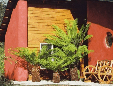 Whispering Spirit Cottage  Miniature Pony Stud - Holiday Adelaide