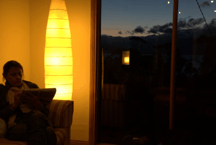 The Tree House - Holiday Adelaide 2