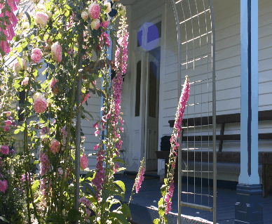 Devonport Bed And Breakfast - Holiday Adelaide