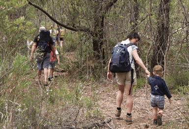 Bicheno East Coast Holiday Park - Holiday Adelaide 3