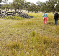 Carnarvon National Park camping - Holiday Adelaide