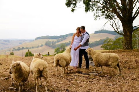 Halcyon Cottage Retreat - Self Contained Accommodation - Holiday Adelaide 2