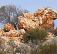 Credo Homestead Camp at Credo Conservation Park - Holiday Adelaide