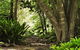 'The Dales' Boutique Bed And Breakfast - thumb 7