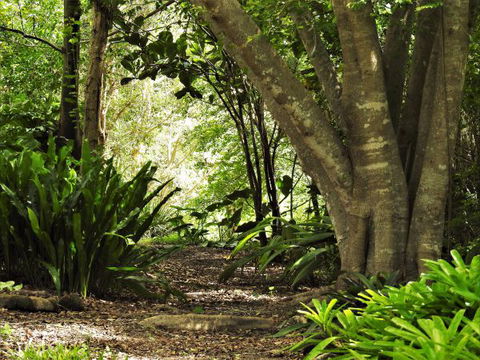 'The Dales' Boutique Bed And Breakfast - Holiday Adelaide 7
