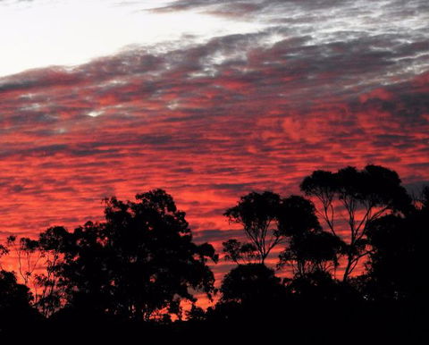 'The Dales' Boutique Bed And Breakfast - Holiday Adelaide 8