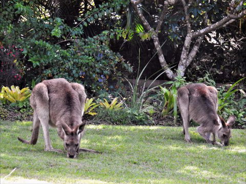 'The Dales' Boutique Bed And Breakfast - Holiday Adelaide 9