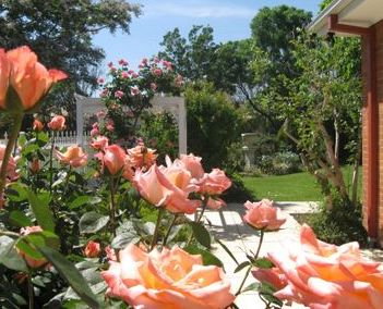 The Clarenton - Holiday Adelaide 0