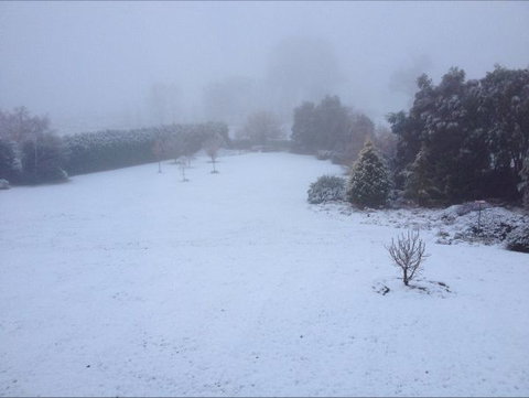 Avaleigh Elms Farmstay - Holiday Adelaide 6