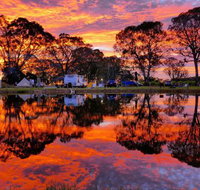 Coonawarra Bush Holiday Park - Holiday Adelaide