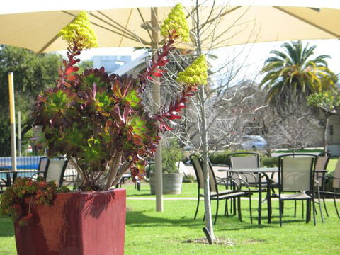 Golden Chain Wine Village Motor Inn - Holiday Adelaide 3