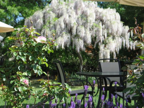 Golden Chain Wine Village Motor Inn - Holiday Adelaide 5